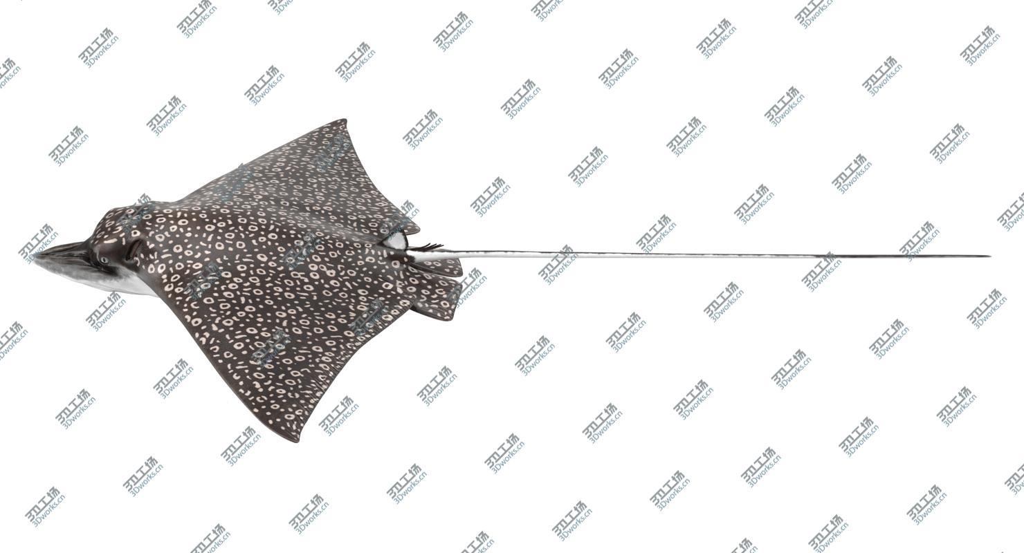 images/goods_img/2021040232/Eagle Ray Rigged/3.jpg